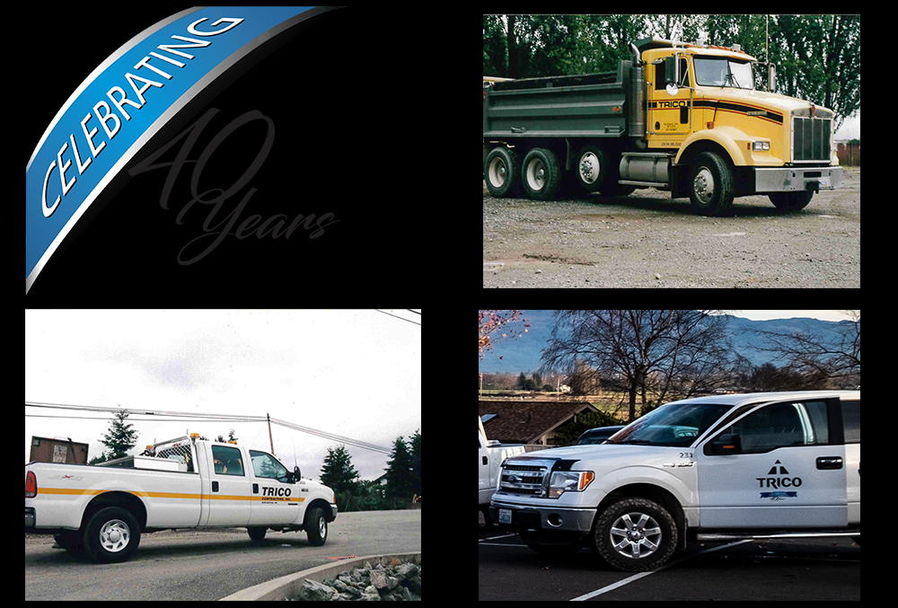 40 years of trico collage