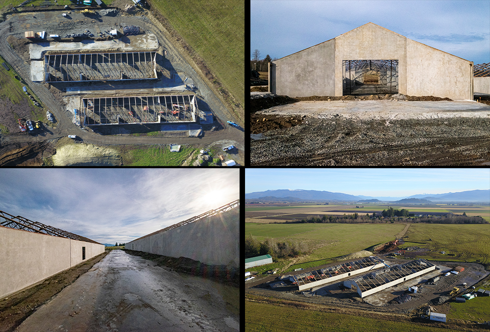 Checking in at Westland Distillery – Skagit Valley Campus… Buildings Taking Form