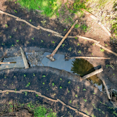 Muck Creek Mitigation
